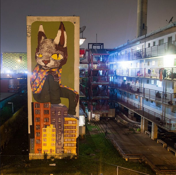 кошачий стрит арт
