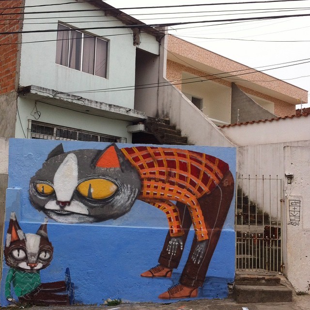 кошачий стрит арт
