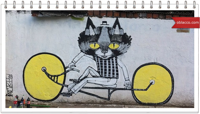 кошачий стрит арт