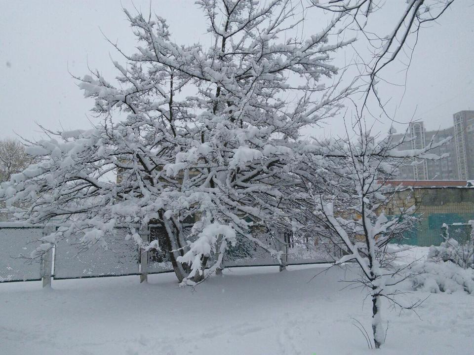 киев снег фото
