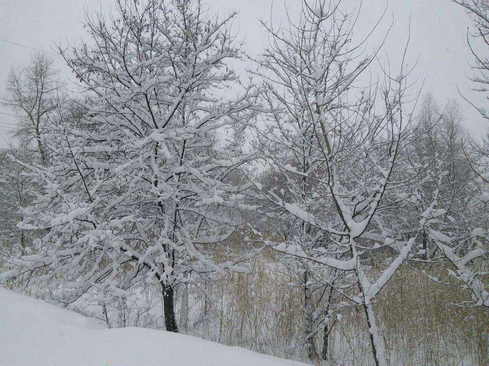 киев снег фото