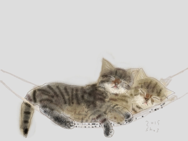 кошки Шозо Одзаки