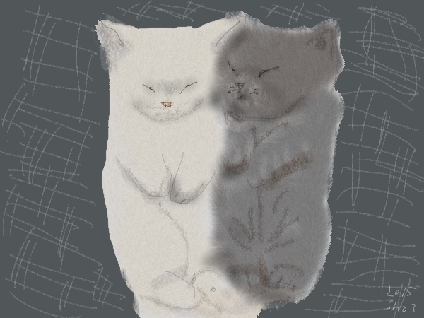 кошки Шозо Одзаки