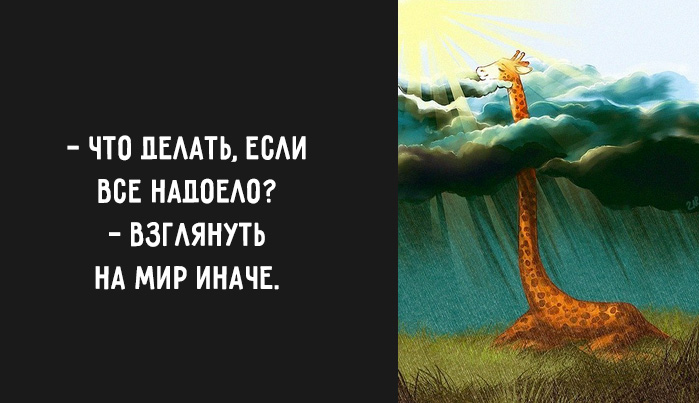 мудрые мысли