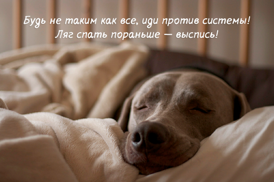 разрушь шаблоны