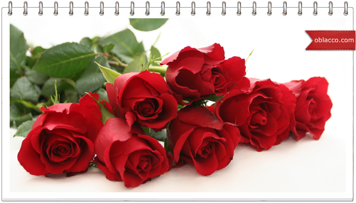 rosew